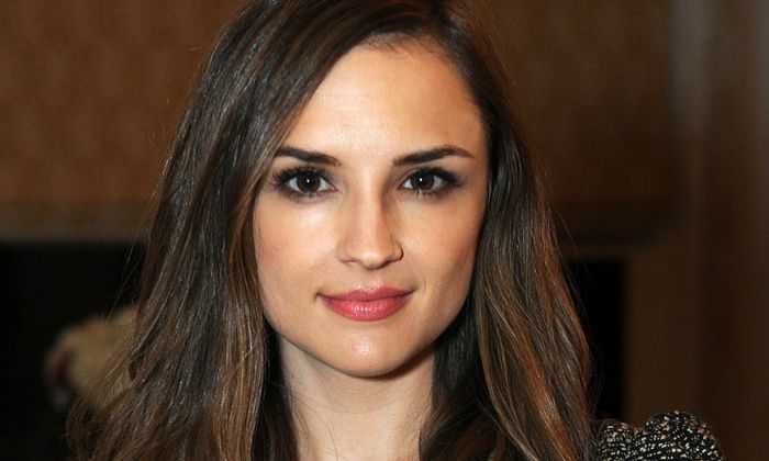 Rachael Leigh Cook Biography